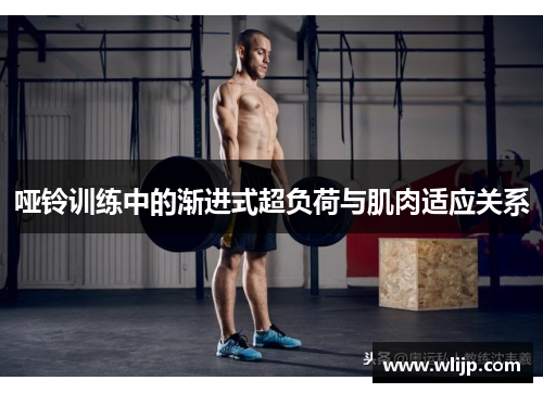哑铃训练中的渐进式超负荷与肌肉适应关系