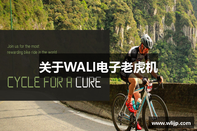 关于WALI电子老虎机